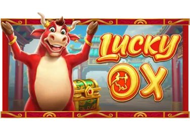 kk8
apk
